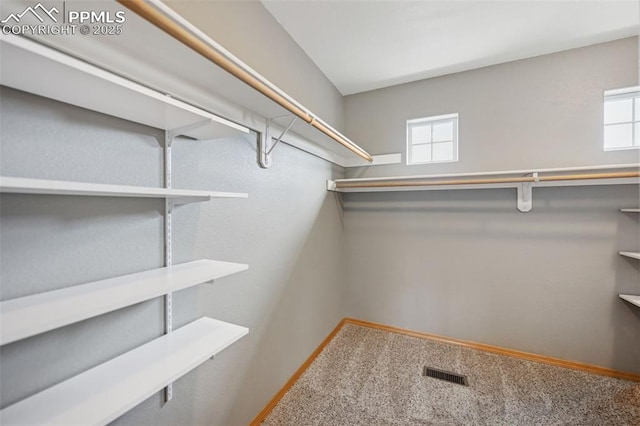 spacious closet featuring visible vents and carpet flooring