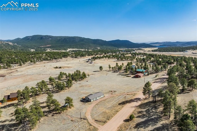 birds eye view of property featuring a mountain view, a rural view, and a desert view