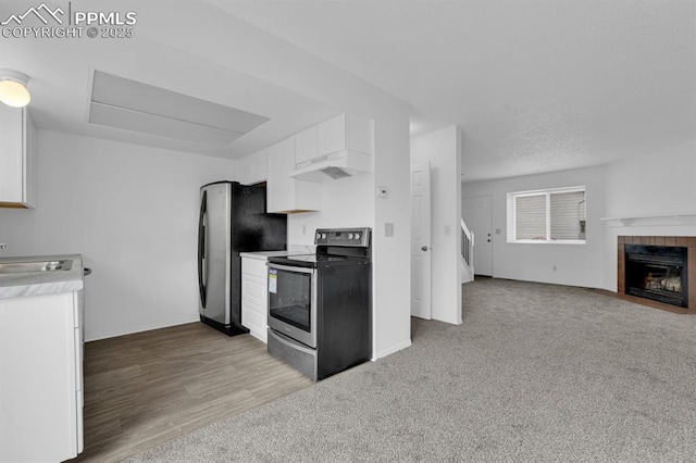 1287 Soaring Eagle Dr, Colorado Springs, CO 80915 - kitchen featuring a sink, extractor fan, white cabinetry, light countertops, and appliances with stainless steel finishes
