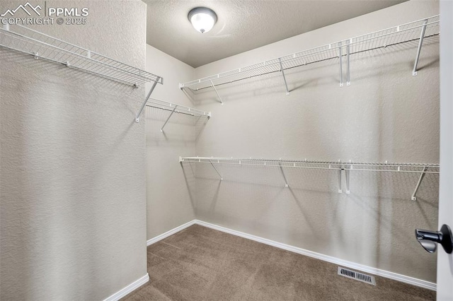8421 Crooked Branch Ln, Colorado Springs, CO 80927 - walk in closet with visible vents and carpet