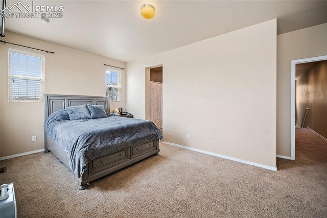 2404 Obsidian Forest Vw, Colorado Springs, CO 80951 - bedroom with baseboards and carpet flooring