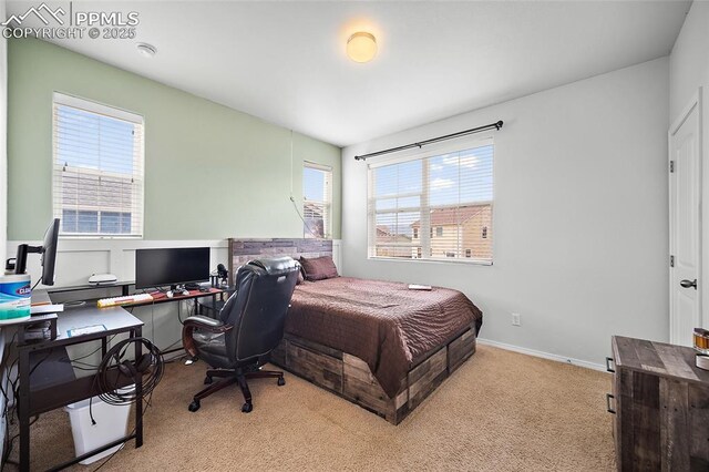2404 Obsidian Forest Vw, Colorado Springs, CO 80951 - bedroom featuring carpet and baseboards