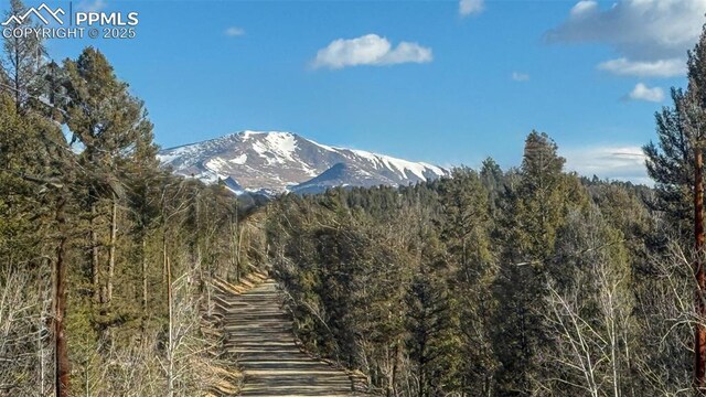 3132 Middle Fork Vis, Fairplay, CO 80440