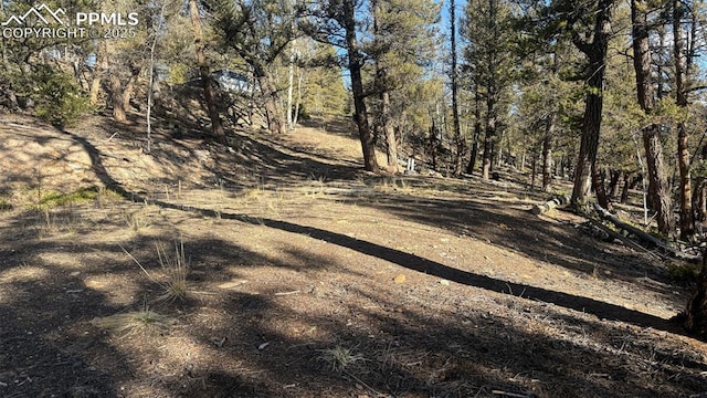 3132 Middle Fork Vis, Fairplay, CO 80440