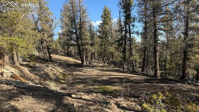 3132 Middle Fork Vis, Fairplay, CO 80440