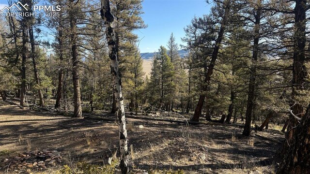 3132 Middle Fork Vis, Fairplay, CO 80440