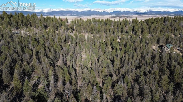 3132 Middle Fork Vis, Fairplay, CO 80440