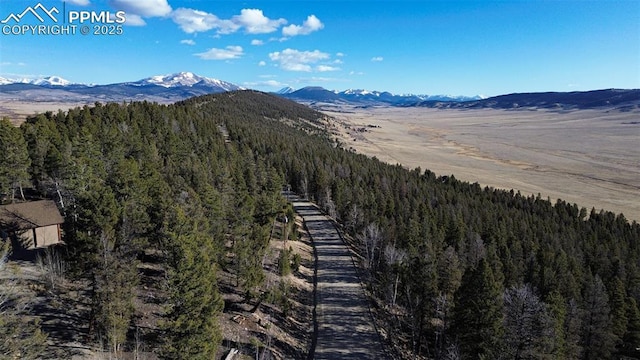3132 Middle Fork Vis, Fairplay, CO 80440
