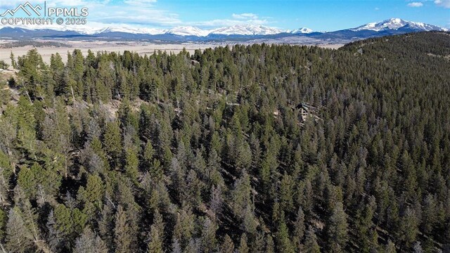 3132 Middle Fork Vis, Fairplay, CO 80440