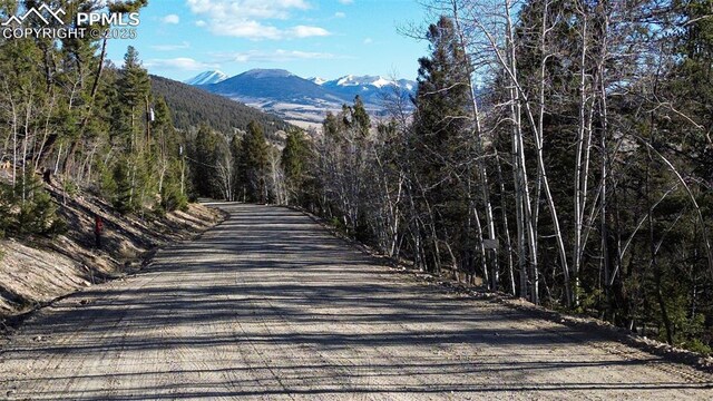 3132 Middle Fork Vis, Fairplay, CO 80440