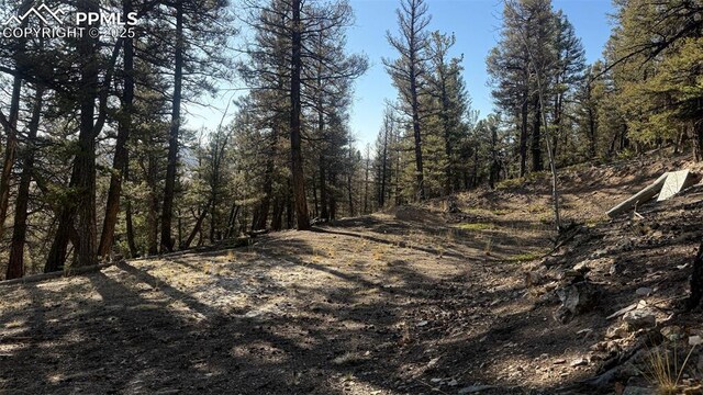 3132 Middle Fork Vis, Fairplay, CO 80440