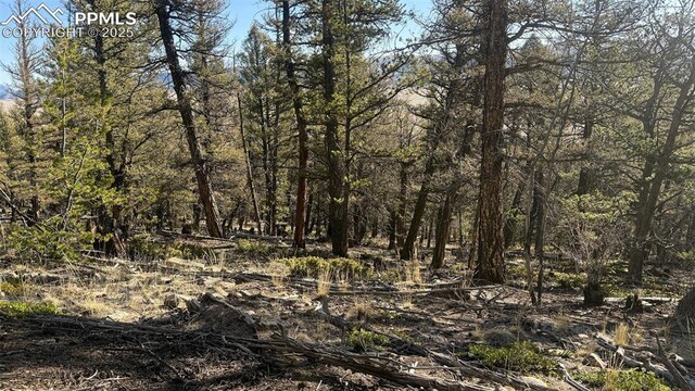 3132 Middle Fork Vis, Fairplay, CO 80440