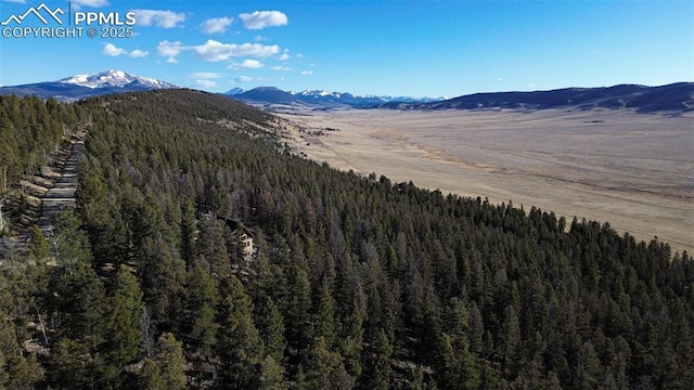 3132 Middle Fork Vis, Fairplay, CO 80440