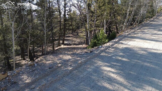 3132 Middle Fork Vis, Fairplay, CO 80440
