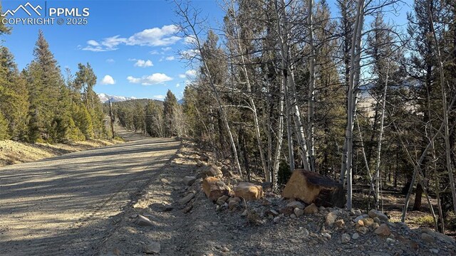 3132 Middle Fork Vis, Fairplay, CO 80440