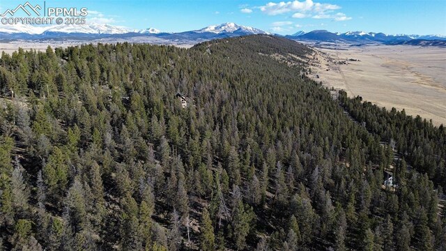 3132 Middle Fork Vis, Fairplay, CO 80440