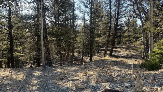 3132 Middle Fork Vis, Fairplay, CO 80440