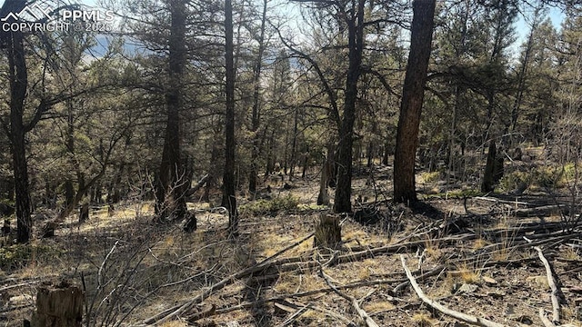 3132 Middle Fork Vis, Fairplay, CO 80440