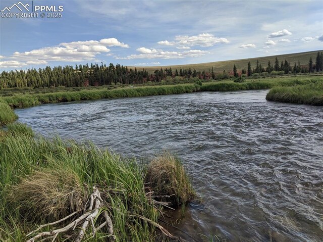 3132 Middle Fork Vis, Fairplay, CO 80440