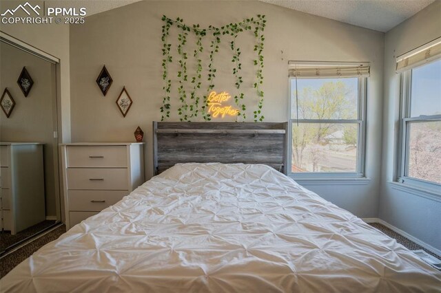 270 Wallace St, Colorado Springs, CO 80911 - bedroom with lofted ceiling, carpet flooring, a textured ceiling, and baseboards