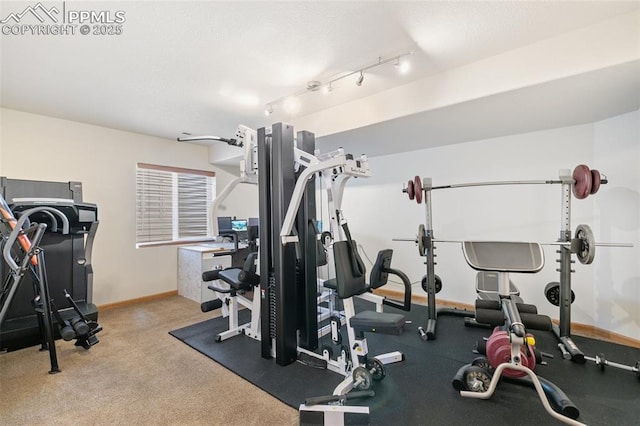 11960 S Conestoga Trl, Elbert, CO 80106 - exercise area with baseboards