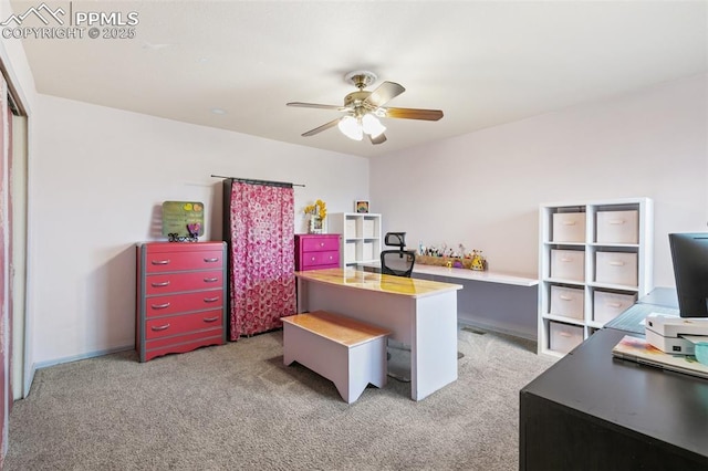 11960 S Conestoga Trl, Elbert, CO 80106 - office space with ceiling fan and light carpet