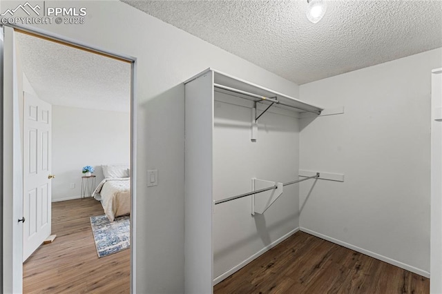 walk in closet with wood finished floors