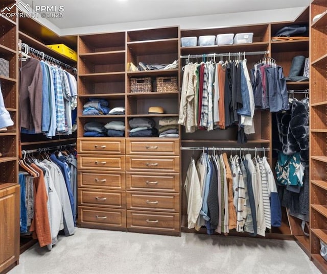 4043 Needles Dr, Colorado Springs, CO 80908 - spacious closet featuring carpet