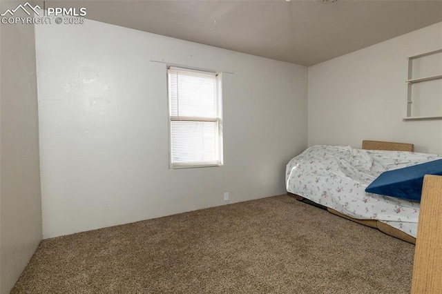710 S Royer St, Colorado Springs, CO 80903 - bedroom with carpet