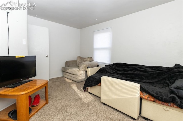 710 S Royer St, Colorado Springs, CO 80903 - bedroom featuring carpet