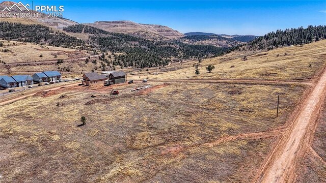 L16-17 Whalen Ave, Cripple Creek, CO 80813