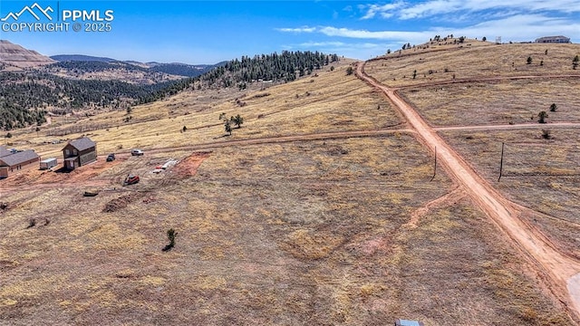 L16-17 Whalen Ave, Cripple Creek, CO 80813