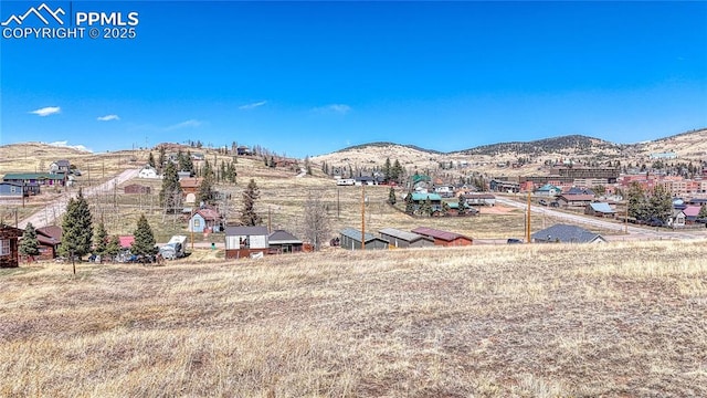 L16-17 Whalen Ave, Cripple Creek, CO 80813