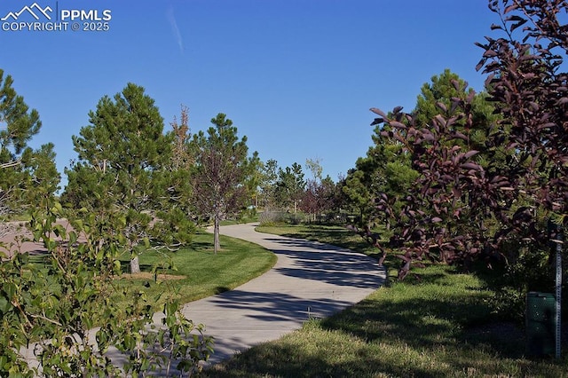 4464 Portillo Pl, Colorado Springs, CO 80924 - view of street