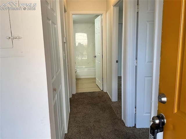 720 E Hills Rd, Colorado Springs, CO 80909 - corridor featuring carpet flooring