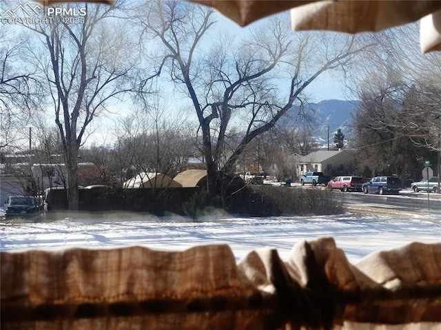 1007 Iowa Ave, Colorado Springs, CO 80909 - yard covered in snow featuring a residential view