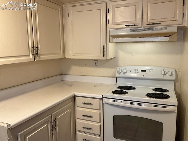 1007 Iowa Ave, Colorado Springs, CO 80909 - kitchen with under cabinet range hood, electric stove, and light countertops