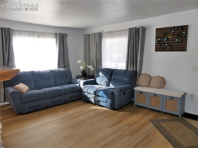 1007 Iowa Ave, Colorado Springs, CO 80909 - living area with plenty of natural light, a textured ceiling, and light wood-style floors