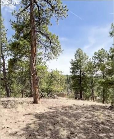 110 La Abu Trl, Florissant, CO 80816