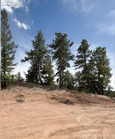 110 La Abu Trl, Florissant, CO 80816