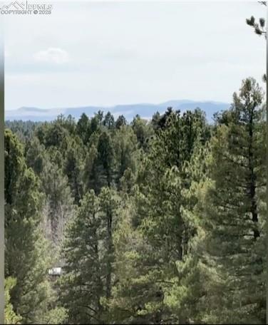 110 La Abu Trl, Florissant, CO 80816