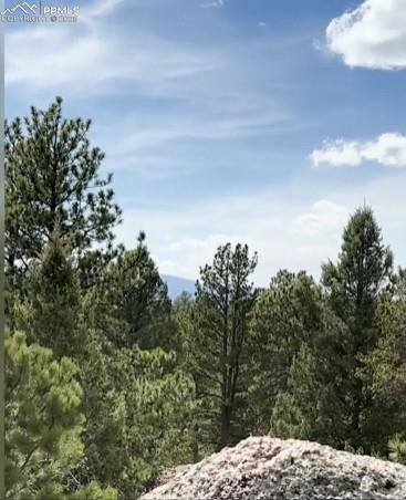 110 La Abu Trl, Florissant, CO 80816
