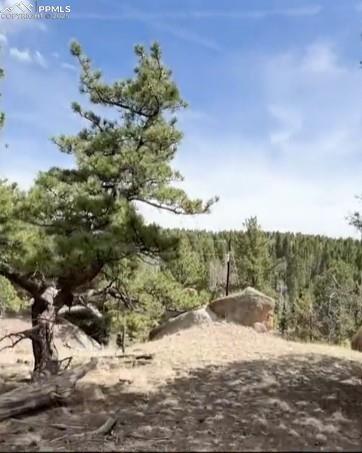 110 La Abu Trl, Florissant, CO 80816