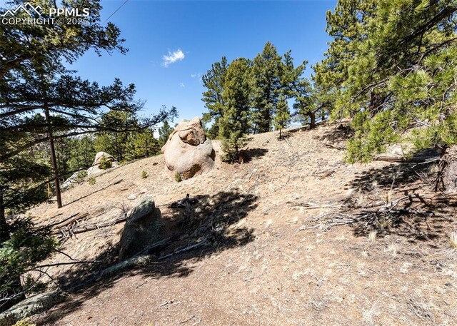 110 La Abu Trl, Florissant, CO 80816
