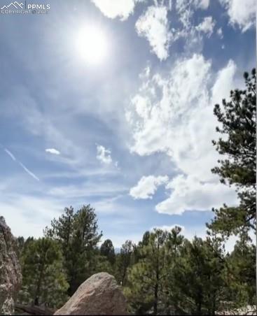 110 La Abu Trl, Florissant, CO 80816