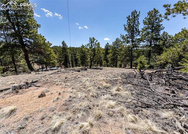 110 La Abu Trl, Florissant, CO 80816