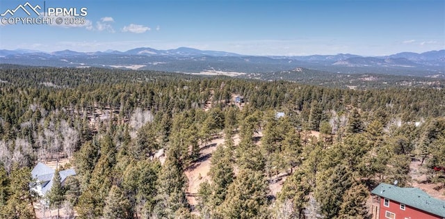 110 La Abu Trl, Florissant, CO 80816