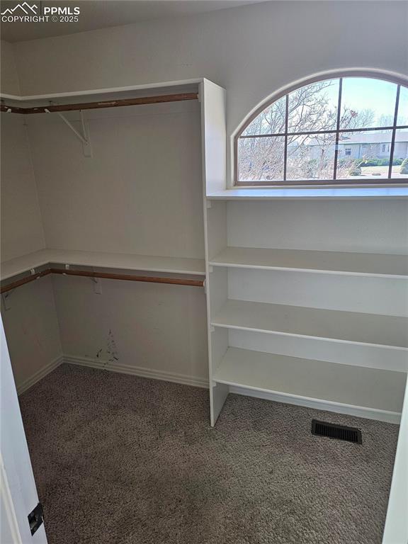spacious closet featuring visible vents and carpet