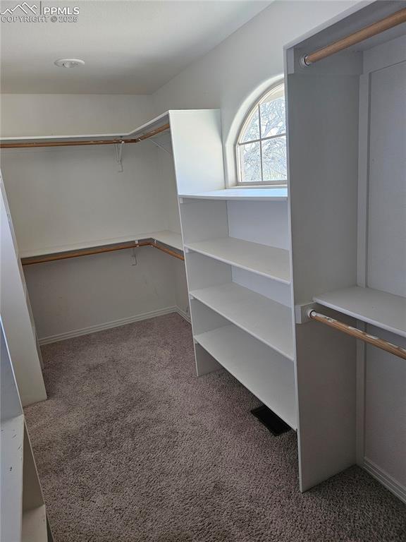 walk in closet with carpet flooring