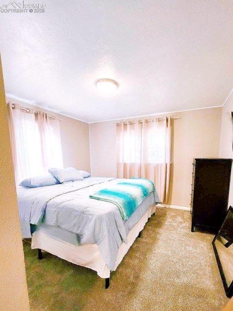 carpeted bedroom with multiple windows